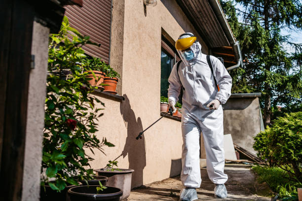 Best Pest Prevention Services  in Bells, TX