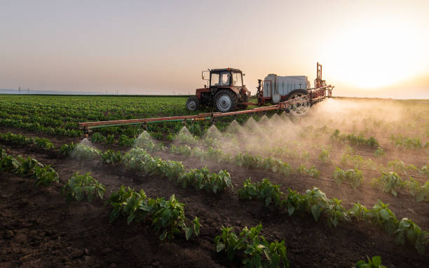 Best Pest Prevention Services  in Bells, TX