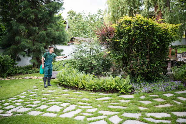 Best Residential Pest Control  in Bells, TX