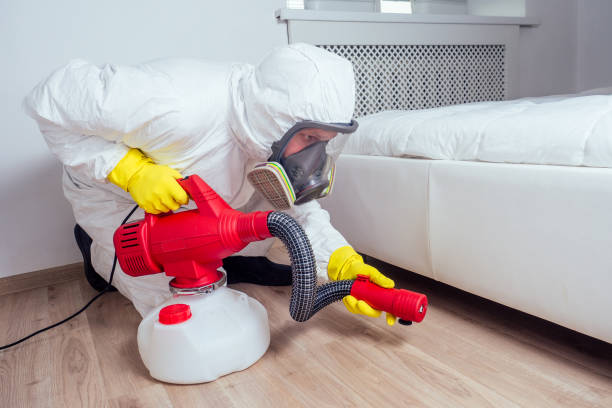 Trusted Bells, TX Pest Control Experts