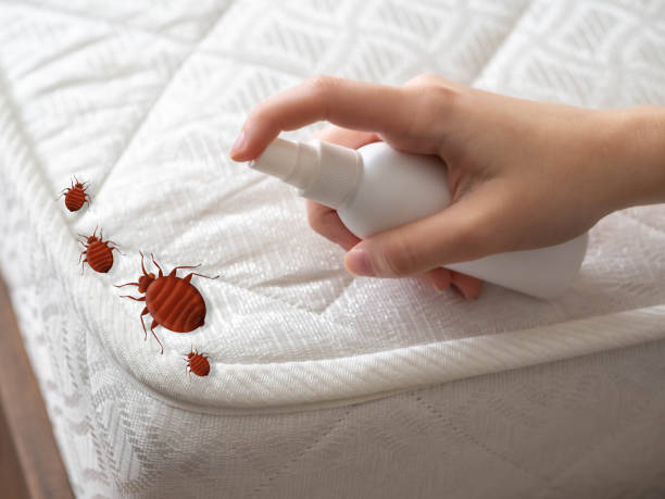 Best Commercial Pest Control Services  in Bells, TX